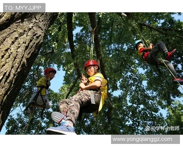 南京攀岩队的阵地战揭秘：探索攀岩热点与团队精神的完美结合