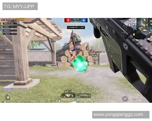 和平精英战术解析：深入了解BLG团队协作与配合技巧